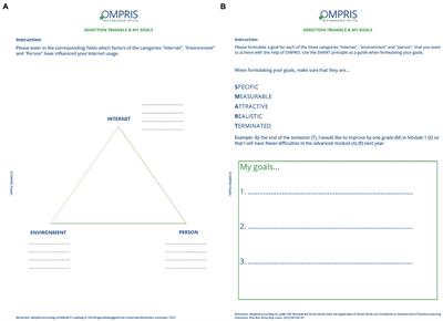 A short-term manual for webcam-based telemedicine treatment of Internet use disorders